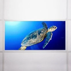 Ocean 008 2 ft. x 4 ft. Flexible Decorative Light Diffuser Panels Ocean for Classrooms and Offices by OCTO LIGHTS -OCTO LIGHTS Shop octo lights ceiling light parts oce 008 2x4 76 1000