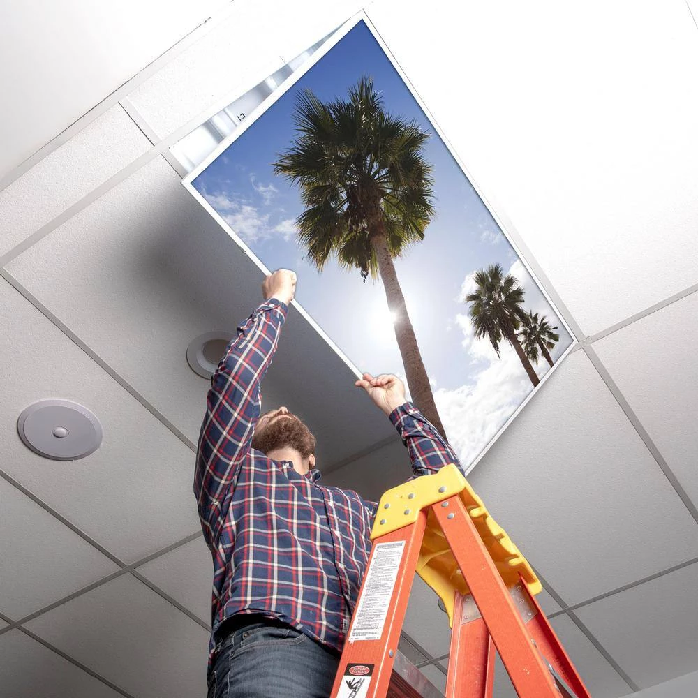 Tree 001 2 ft. x 2 ft. Fluorescent Light Filters by OCTO LIGHTS 7 Tree 001 2 ft. x 2 ft. Fluorescent Light Filters by OCTO LIGHTS - Image 5