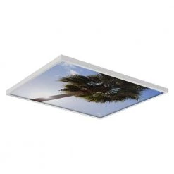 Tree 001 2 ft. x 2 ft. Fluorescent Light Filters by OCTO LIGHTS