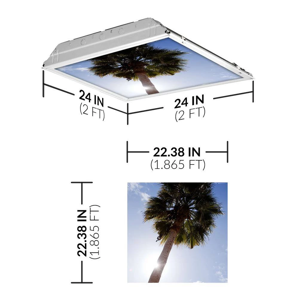 Tree 001 2 ft. x 2 ft. Fluorescent Light Filters by OCTO LIGHTS 4 Tree 001 2 ft. x 2 ft. Fluorescent Light Filters by OCTO LIGHTS - Image 2