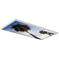 Tree 001 2 ft. x 4 ft. Fluorescent Light Filters by OCTO LIGHTS