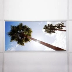 Tree 001 2 ft. x 4 ft. Fluorescent Light Filters by OCTO LIGHTS -OCTO LIGHTS Shop octo lights ceiling light parts tre 001 2x4 76 1000