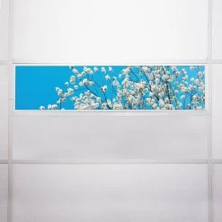 Tree 002 1 ft. x 4 ft. Fluorescent Light Filters by OCTO LIGHTS -OCTO LIGHTS Shop octo lights ceiling light parts tre 002 1x4 76 1000