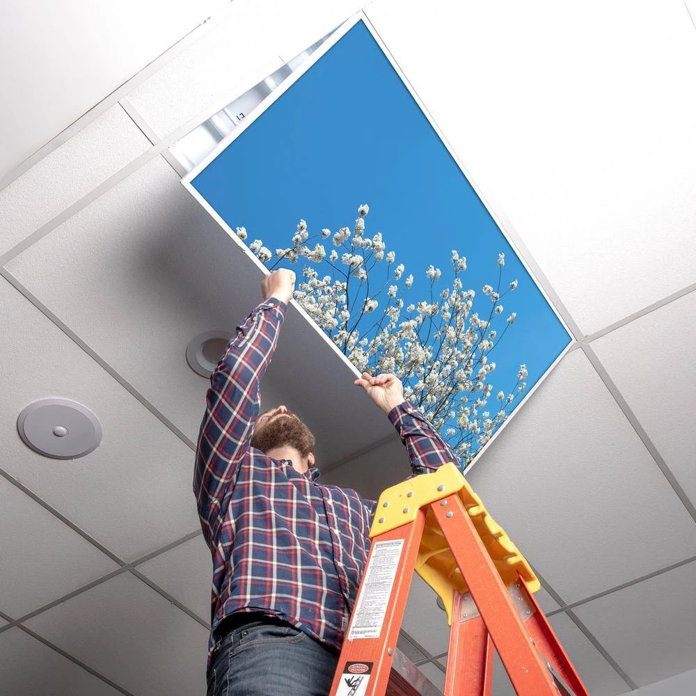 2x2 Fluorescent Light Filters , Tree 002 by OCTO LIGHTS 7 2x2 Fluorescent Light Filters , Tree 002 by OCTO LIGHTS - Image 5