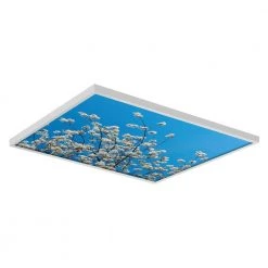 2x2 Fluorescent Light Filters , Tree 002 by OCTO LIGHTS