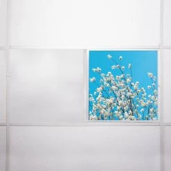 2x2 Fluorescent Light Filters , Tree 002 by OCTO LIGHTS 15 2x2 Fluorescent Light Filters , Tree 002 by OCTO LIGHTS -OCTO LIGHTS Shop octo lights ceiling light parts tre 002 2x2 76 1000