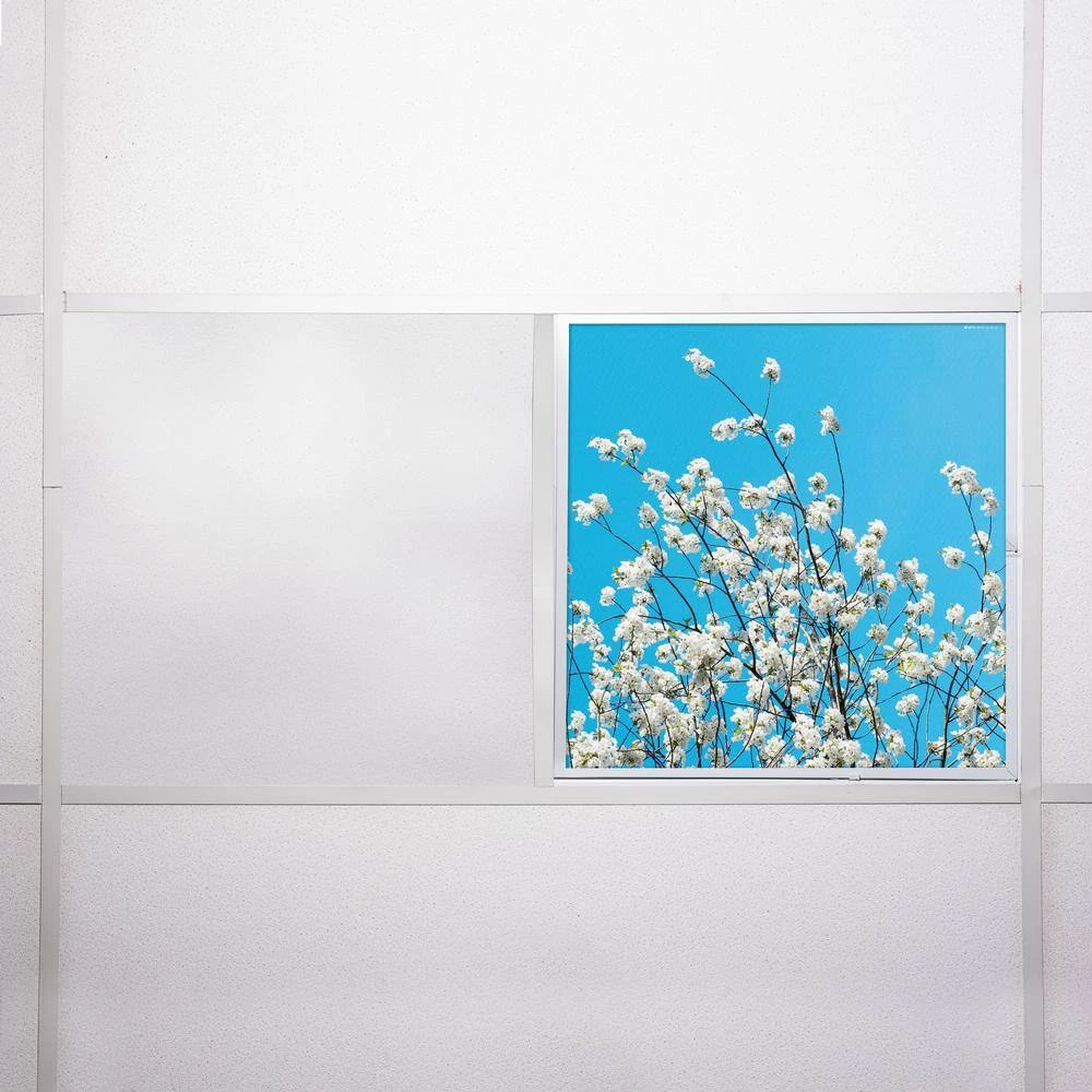 2x2 Fluorescent Light Filters , Tree 002 by OCTO LIGHTS 9 2x2 Fluorescent Light Filters , Tree 002 by OCTO LIGHTS - Image 7