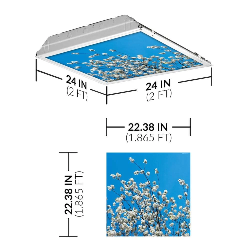 2x2 Fluorescent Light Filters , Tree 002 by OCTO LIGHTS 4 2x2 Fluorescent Light Filters , Tree 002 by OCTO LIGHTS - Image 2