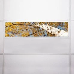 Tree 003 1 ft. x 4 ft. Fluorescent Light Filters by OCTO LIGHTS -OCTO LIGHTS Shop octo lights ceiling light parts tre 003 1x4 76 1000