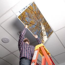 2 ft. x 2 ft. Fluorescent Light Filters , Tree 003 by OCTO LIGHTS -OCTO LIGHTS Shop octo lights ceiling light parts tre 003 2x2 44 1000