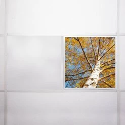 2 ft. x 2 ft. Fluorescent Light Filters , Tree 003 by OCTO LIGHTS -OCTO LIGHTS Shop octo lights ceiling light parts tre 003 2x2 76 1000