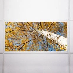 Tree 003 2 ft. x 4 ft. Fluorescent Light Filters by OCTO LIGHTS -OCTO LIGHTS Shop octo lights ceiling light parts tre 003 2x4 76 1000