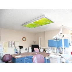 Tree 004 1 ft. x 4 ft. Fluorescent Light Filters by OCTO LIGHTS -OCTO LIGHTS Shop octo lights ceiling light parts tre 004 1x4 fa 1000