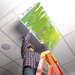 Tree 004 2 ft. x 2 ft. Fluorescent Light Filters by OCTO LIGHTS -OCTO LIGHTS Shop octo lights ceiling light parts tre 004 2x2 44 1000