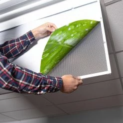 Tree 004 2 ft. x 4 ft. Fluorescent Light Filters by OCTO LIGHTS -OCTO LIGHTS Shop octo lights ceiling light parts tre 004 2x4 1f 1000