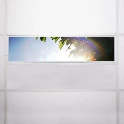 Tree 005 1 ft. x 4 ft. Fluorescent Light Filters by OCTO LIGHTS -OCTO LIGHTS Shop octo lights ceiling light parts tre 005 1x4 76 1000