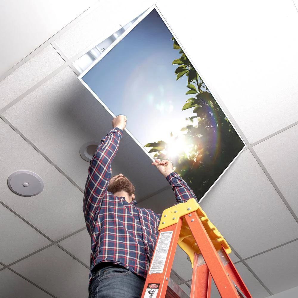 2x2 Fluorescent Light Filters , Tree 005 by OCTO LIGHTS 7 2x2 Fluorescent Light Filters , Tree 005 by OCTO LIGHTS - Image 5