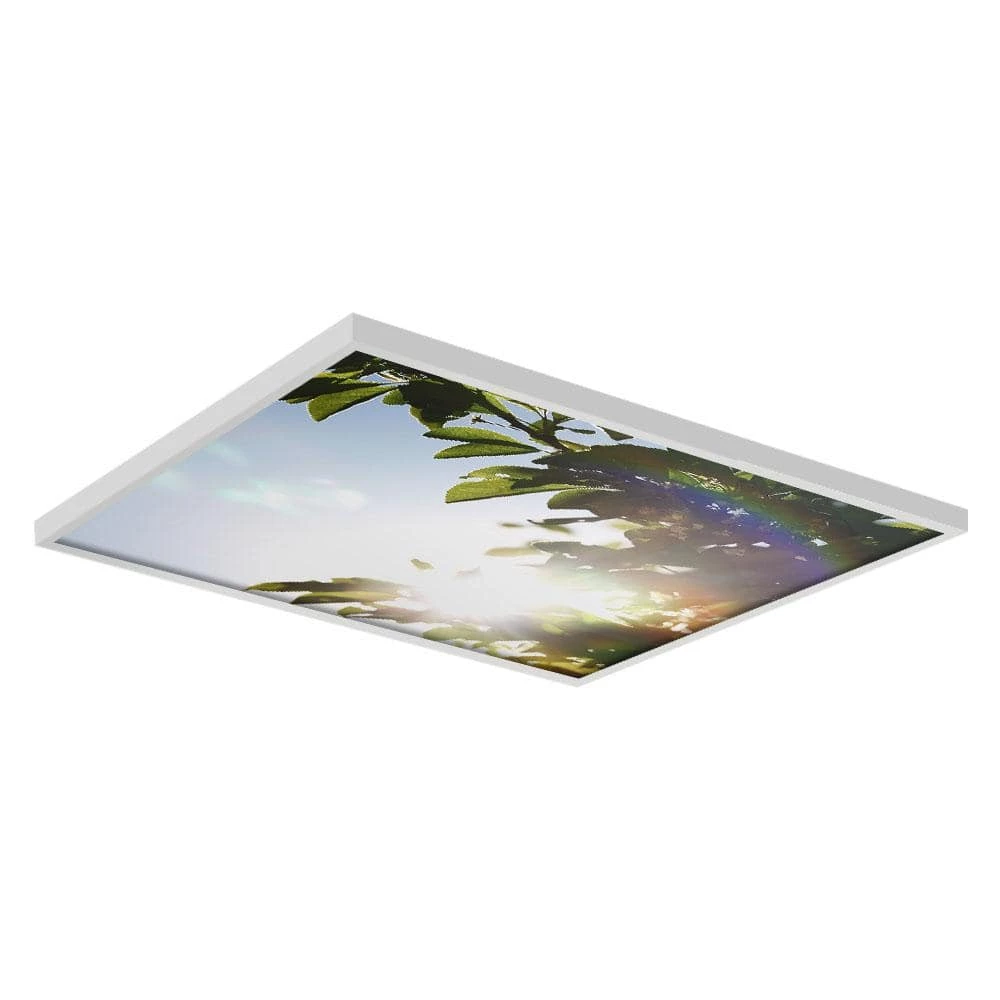 2x2 Fluorescent Light Filters , Tree 005 by OCTO LIGHTS 3 2x2 Fluorescent Light Filters , Tree 005 by OCTO LIGHTS