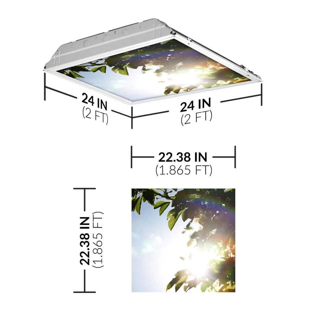 2x2 Fluorescent Light Filters , Tree 005 by OCTO LIGHTS 4 2x2 Fluorescent Light Filters , Tree 005 by OCTO LIGHTS - Image 2