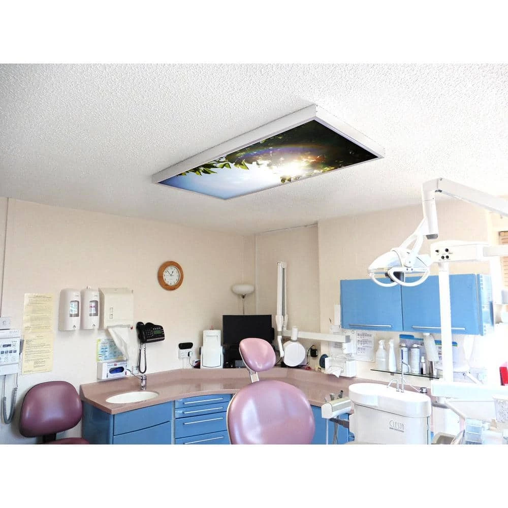 2x2 Fluorescent Light Filters , Tree 005 by OCTO LIGHTS 8 2x2 Fluorescent Light Filters , Tree 005 by OCTO LIGHTS - Image 6