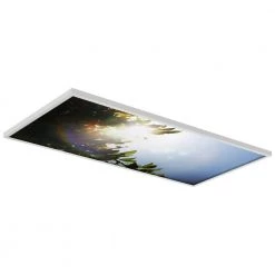 Tree 005 2 ft. x 4 ft. Fluorescent Light Filters by OCTO LIGHTS