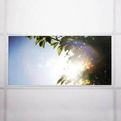 Tree 005 2 ft. x 4 ft. Fluorescent Light Filters by OCTO LIGHTS -OCTO LIGHTS Shop octo lights ceiling light parts tre 005 2x4 76 1000