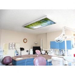 Tree 006 1 ft. x 4 ft. Fluorescent Light Filters by OCTO LIGHTS -OCTO LIGHTS Shop octo lights ceiling light parts tre 006 1x4 fa 1000