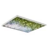 Tree 006 2 ft. x 2 ft. Fluorescent Light Filters by OCTO LIGHTS -OCTO LIGHTS Shop octo lights ceiling light parts tre 006 2x2 64 1000