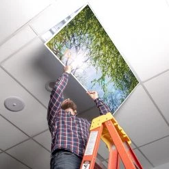 Tree 006 2 ft. x 4 ft. Fluorescent Light Filters by OCTO LIGHTS -OCTO LIGHTS Shop octo lights ceiling light parts tre 006 2x4 44 1000