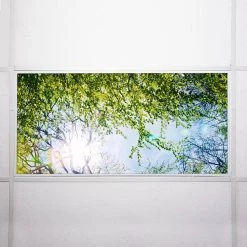 Tree 006 2 ft. x 4 ft. Fluorescent Light Filters by OCTO LIGHTS -OCTO LIGHTS Shop octo lights ceiling light parts tre 006 2x4 76 1000