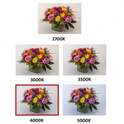 2 ft. x 2 ft. 96-Watt Equivalent Integrated LED White Troffer, 4000K by Commercial Electric 16 2 ft. x 2 ft. 96-Watt Equivalent Integrated LED White Troffer, 4000K by Commercial Electric -OCTO LIGHTS Shop white commercial electric troffers cetr22bl20pd 1d 1000